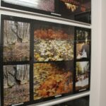 12.12.2019 Busko-Zdrój. XXIII. Ogólnopolski Przegląd Fotograficzny „Ponidzie 2019” / Marta Gajda / Radio Kielce