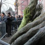 17.12.2019 Kazimierza Wielka. Choinki dla słuchaczy Radia Kielce / Marta Gajda / Radio Kielce