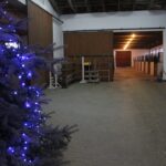 26.12.2019 Michałów. Stadnina koni / Marta Gajda / Radio Kielce