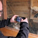 26.12.2019 Działoszyce. Żywa szopka / Marta Gajda / Radio Kielce