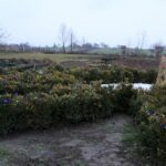 29.12.2019. Gorzków. Prace przy budowie Ogrodu Biblijnego / Marta Gajda / Radio Kielce