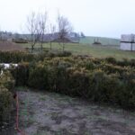 29.12.2019. Gorzków. Prace przy budowie Ogrodu Biblijnego / Marta Gajda / Radio Kielce