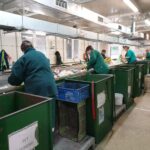 03.12.2019 Końskie. Przedsiębiorstwo Gospodarki Komunalnej Końskie / PGK Końskie