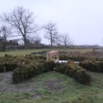 29.12.2019. Gorzków. Prace przy budowie Ogrodu Biblijnego / Marta Gajda / Radio Kielce