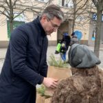 13.12.2019 Kielce. Europoseł Adam Jarubas z PSL rozdaje drzewka świąteczne oraz opłatki / Monika Miller / Radio Kielce