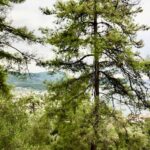 Thassos / Joanna Dąbek