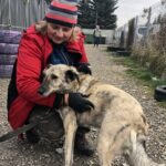 01.12.2019. Sandomierz. Pomoc  dla schroniska od KGW Chwałowianki / Grażyna-Szlęzak-Wójcik / Radio Kielce