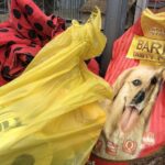 01.12.2019. Sandomierz. Pomoc  dla schroniska od KGW Chwałowianki / Grażyna-Szlęzak-Wójcik / Radio Kielce