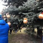 15.12.2019. Staszów. Ubieranie choinki na Rynku / Grażyna-Szlęzak-Wójcik / Radio Kielce