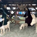 15.12.2019. Staszów. Szopka bożonarodzeniowa / Grażyna-Szlęzak-Wójcik / Radio Kielce