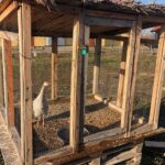 18.12.2019 Sandomierz. Budowa żywej szopki / Grażyna Szlęzak-Wójcik / Radio Kielce