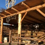 18.12.2019 Sandomierz. Budowa żywej szopki / Grażyna Szlęzak-Wójcik / Radio Kielce