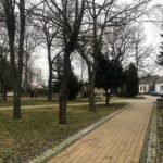 28.12.2019. Oleśnica. Centrum miasta / Grażyna-Szlęzak-Wójcik / Radio Kielce