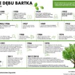 Dzieje Dębu Bartka - kalendarium / RDLP w Radomiu