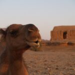 Iran / Krzysztof Krzemiński