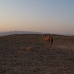 Iran / Krzysztof Krzemiński