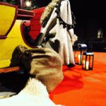 10.12.2019 Radio Kielce w świątecznym wystroju / Jarosław Kubalski / Radio Kielce