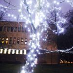 10.12.2019 Radio Kielce w świątecznym wystroju / Jarosław Kubalski / Radio Kielce