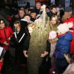 20.12.2019 Kielce. Ogród Radia Kielce. Choinki dla słuchaczy / Jarosław Kubalski / Radio Kielce