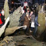 20.12.2019 Kielce. Ogród Radia Kielce. Choinki dla słuchaczy / Jarosław Kubalski / Radio Kielce