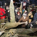 20.12.2019 Kielce. Ogród Radia Kielce. Choinki dla słuchaczy / Jarosław Kubalski / Radio Kielce