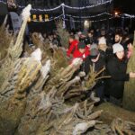 20.12.2019 Kielce. Ogród Radia Kielce. Choinki dla słuchaczy / Jarosław Kubalski / Radio Kielce