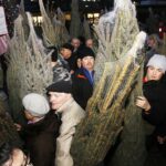 20.12.2019 Kielce. Ogród Radia Kielce. Choinki dla słuchaczy / Jarosław Kubalski / Radio Kielce