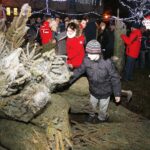 20.12.2019 Kielce. Ogród Radia Kielce. Choinki dla słuchaczy / Jarosław Kubalski / Radio Kielce