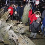 20.12.2019 Kielce. Ogród Radia Kielce. Choinki dla słuchaczy / Jarosław Kubalski / Radio Kielce