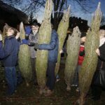 20.12.2019 Kielce. Ogród Radia Kielce. Choinki dla słuchaczy / Jarosław Kubalski / Radio Kielce