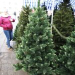 13.12.2019 Kielce. Sztuczne choinki na bazarze / Jarosław Kubalski / Radio Kielce