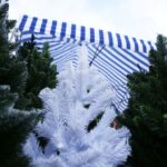 13.12.2019 Kielce. Sztuczne choinki na bazarze / Jarosław Kubalski / Radio Kielce