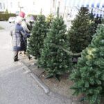 13.12.2019 Kielce. Sztuczne choinki na bazarze / Jarosław Kubalski / Radio Kielce