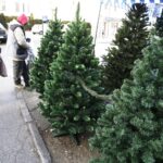 13.12.2019 Kielce. Sztuczne choinki na bazarze / Jarosław Kubalski / Radio Kielce