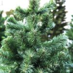 13.12.2019 Kielce. Sztuczne choinki na bazarze / Jarosław Kubalski / Radio Kielce