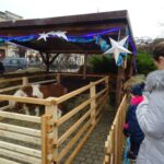 22.12.2019 Opatów. Jarmark bożonarodzeniowy / Emilia Sitarskia / Radio Kielce