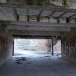 10.12.2019. Opatów. Tereny na Kani / Emilia Sitarska / Radio Kielce