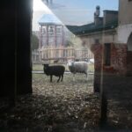 21.12.2019. Chęciny. Żywa szopka / Wiktor Taszłow / Radio Kielce