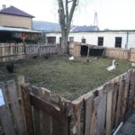 21.12.2019. Chęciny. Żywa szopka / Wiktor Taszłow / Radio Kielce