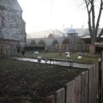 21.12.2019. Chęciny. Żywa szopka / Wiktor Taszłow / Radio Kielce