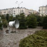 22.12.2019. Kielce. Choinki na Placu Wolności / Wiktor Taszłow / Radio Kielce