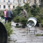 22.12.2019. Kielce. Choinki na Placu Wolności / Wiktor Taszłow / Radio Kielce