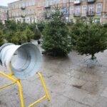 22.12.2019. Kielce. Choinki na Placu Wolności / Wiktor Taszłow / Radio Kielce