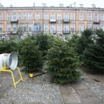 22.12.2019. Kielce. Choinki na Placu Wolności / Wiktor Taszłow / Radio Kielce