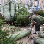 22.12.2019. Kielce. Choinki na Placu Wolności / Wiktor Taszłow / Radio Kielce