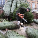 22.12.2019. Kielce. Choinki na Placu Wolności / Wiktor Taszłow / Radio Kielce