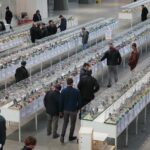 08.12.2019. Kielce. Świętokrzyska Wystawa Gołębi i Królików / Wiktor Taszłow / Radio Kielce