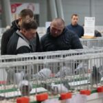 08.12.2019. Kielce. Świętokrzyska Wystawa Gołębi i Królików / Wiktor Taszłow / Radio Kielce