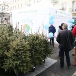 Kielce. 16.12.2019. Akcja "Ekologiczne Święta z WFOŚiGW w Kielcach" / Wiktor Taszłow / Radio Kielce