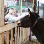 Brynica. 19.12.2019. Żywa szopka w Brynicy / Wiktor Taszłow / Radio Kielce